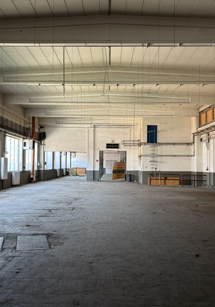 Die Maschinenhalle des Theisen-Geländes. Eine leere Halle, wo Licht durch die Fenster strömt und Kabel von der Decke hängen